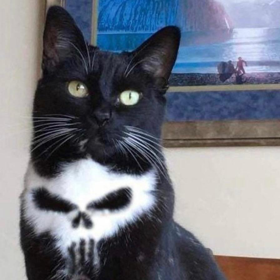 YYYYYY