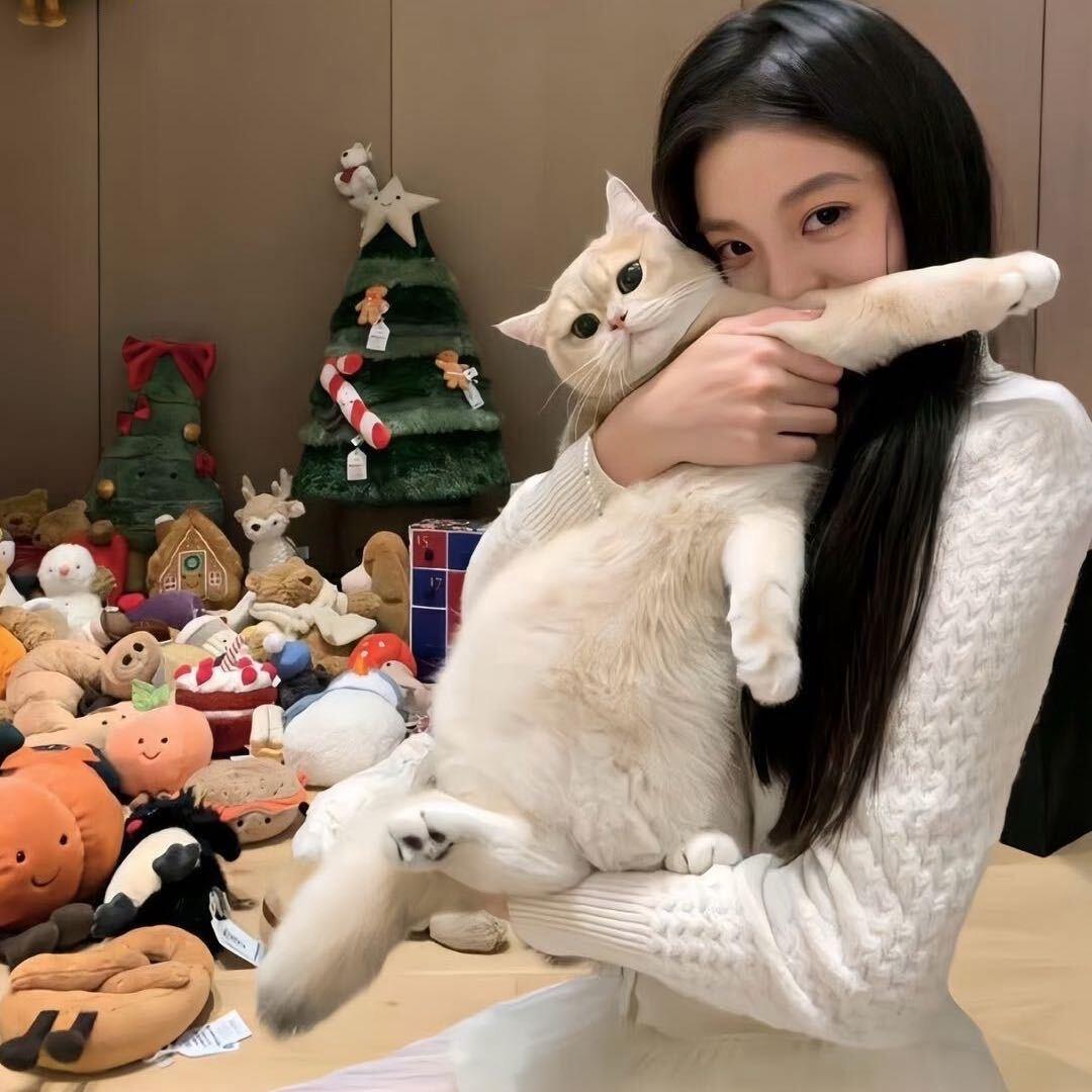 你的大可爱姐姐有点懒🥑