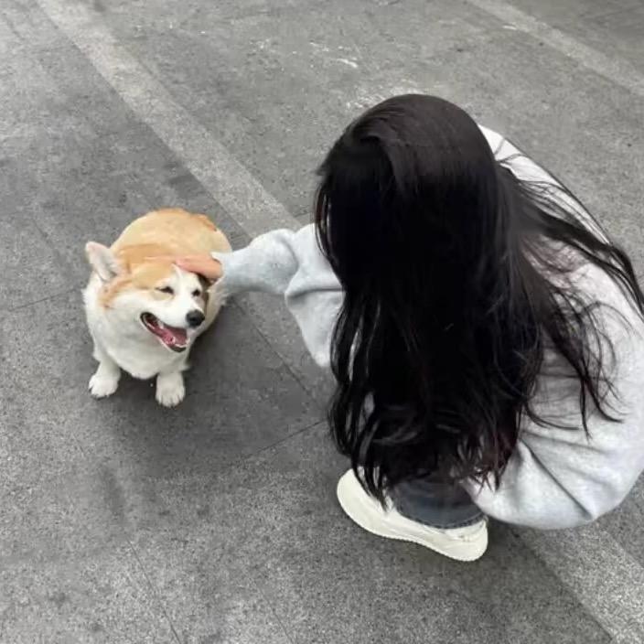 冰冰雯🧊