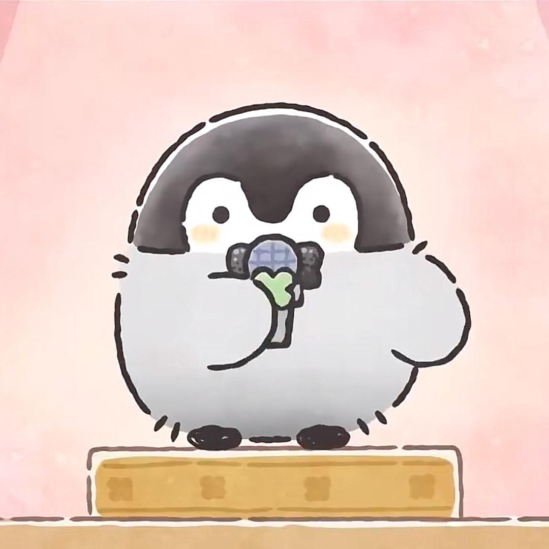 熊猫不会飞