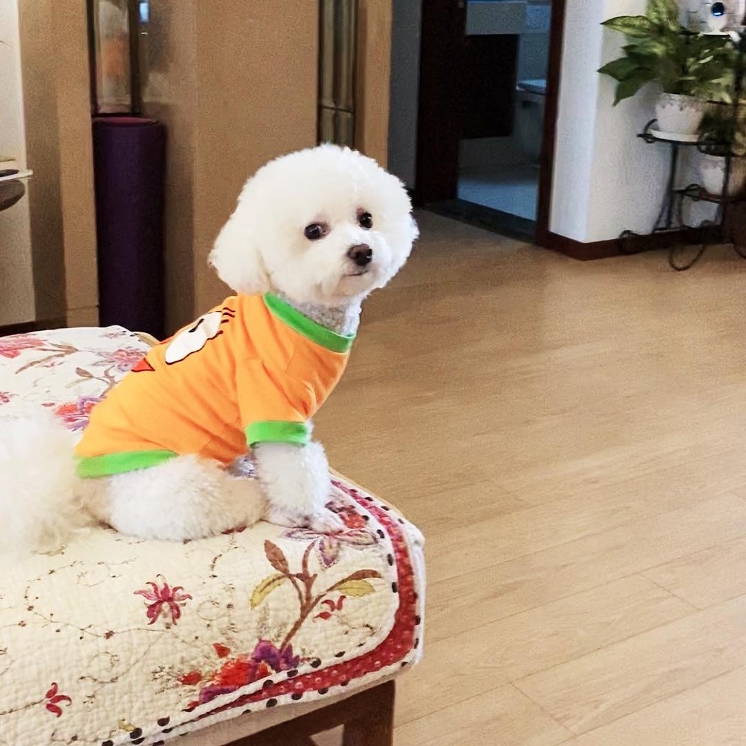 lili多多