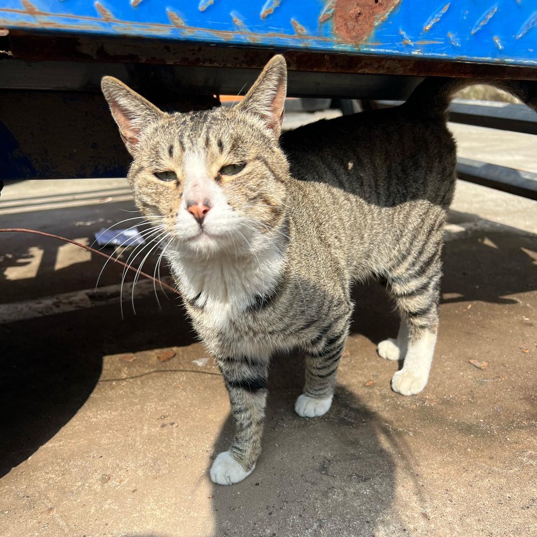 用户125638680671130