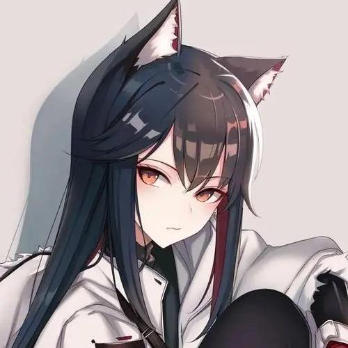 向向小象