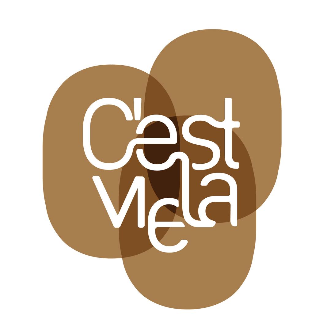 CestLaVie高端设计师买手店