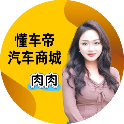 武汉懂车帝二手新能源肉肉