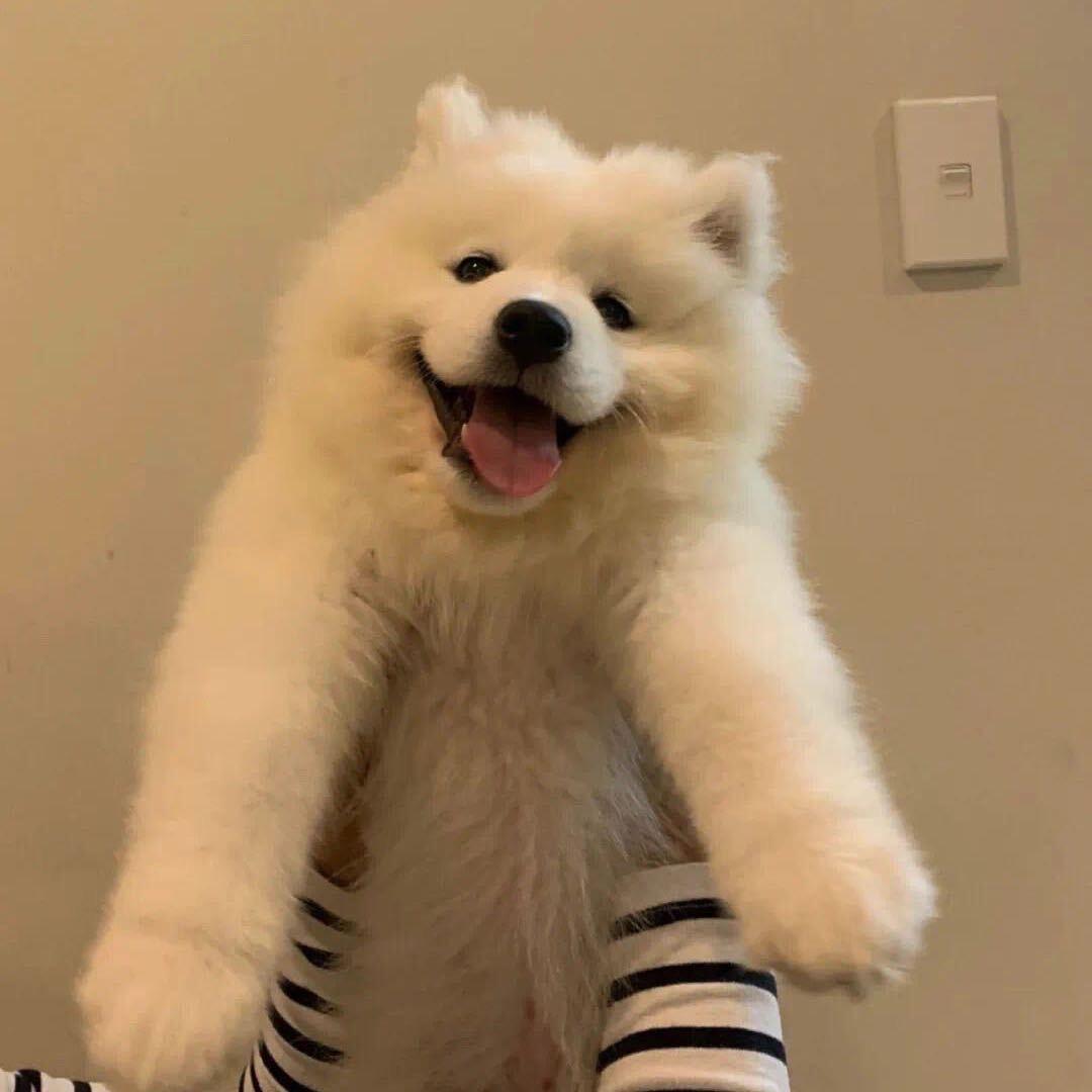 天下无双