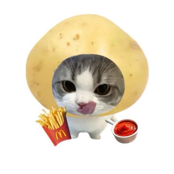 原味薯条