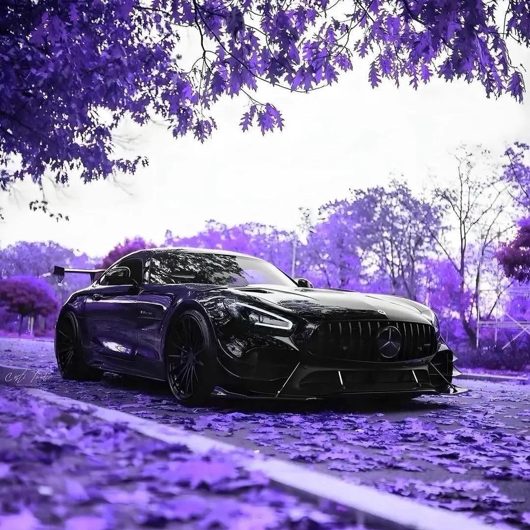 琛哥带你提新车