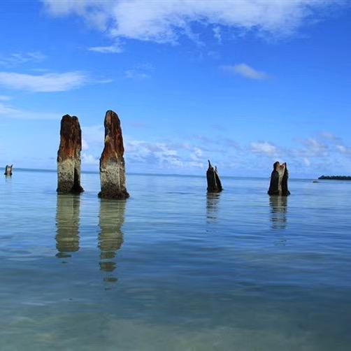 风中天空🌌🐘