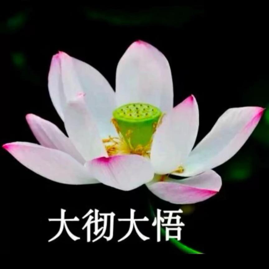 龙凤山