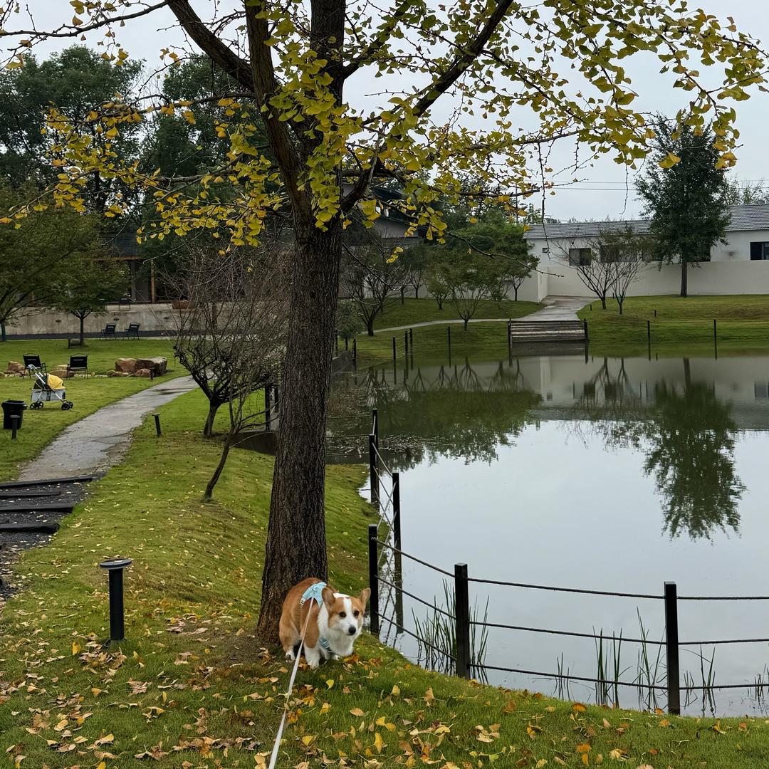 臭宝是个小帅基