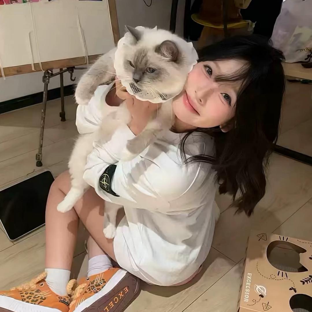 零碎小猫