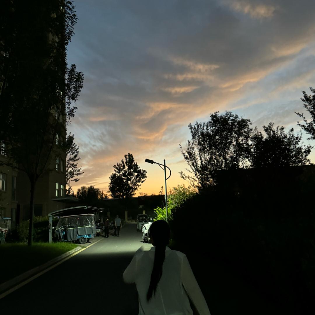 喜悦苏仕兰刀坊（新疆包邮）