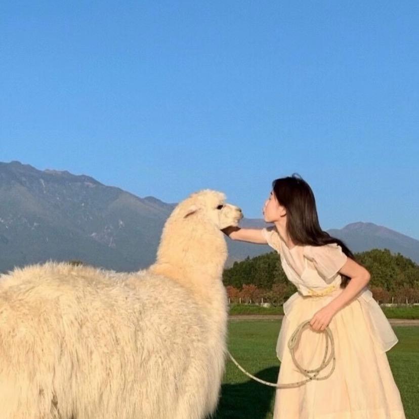 巧遇巧钰