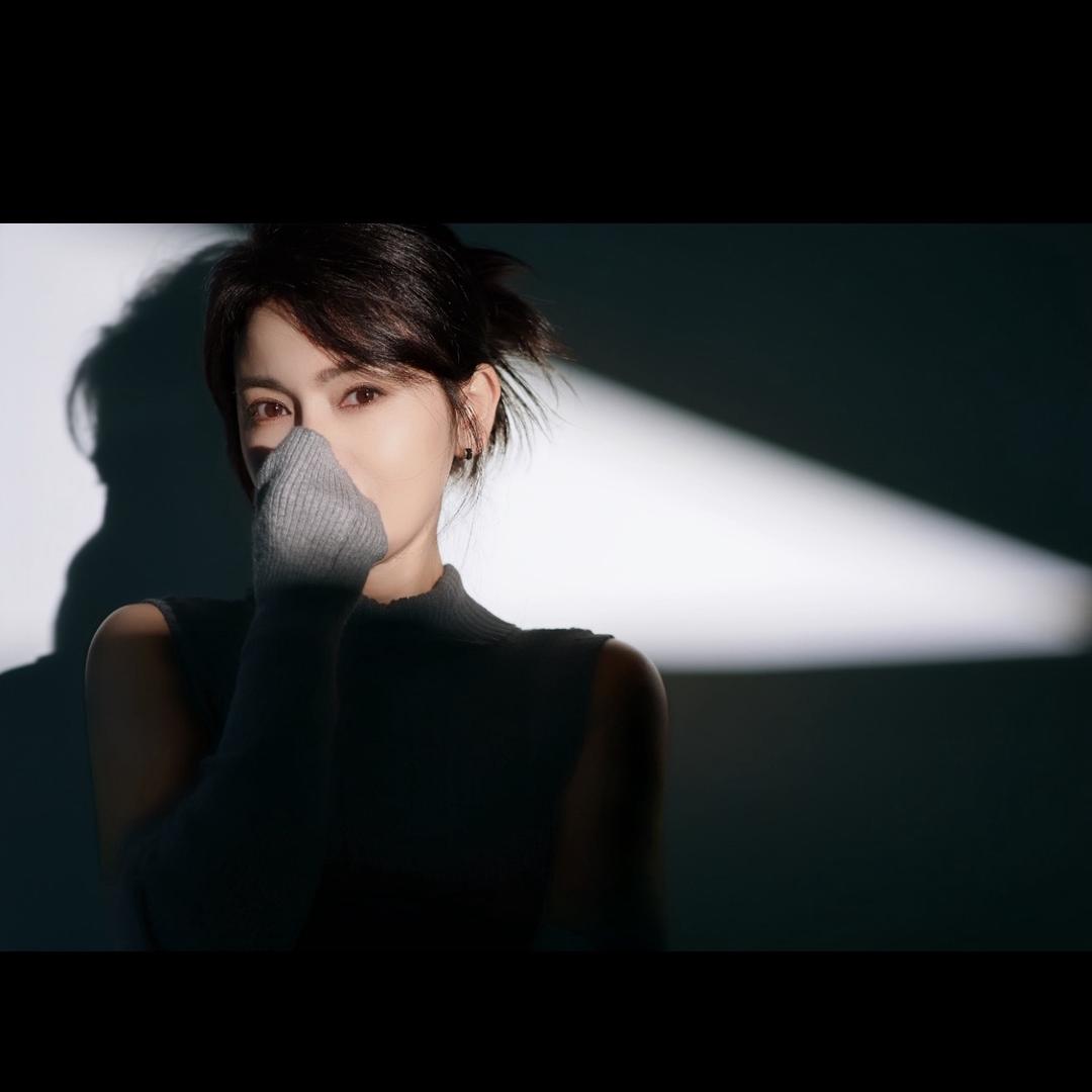 临沧YS燕