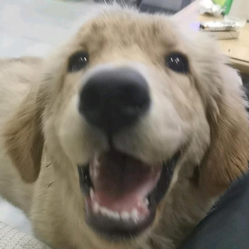 你爱吃馍不