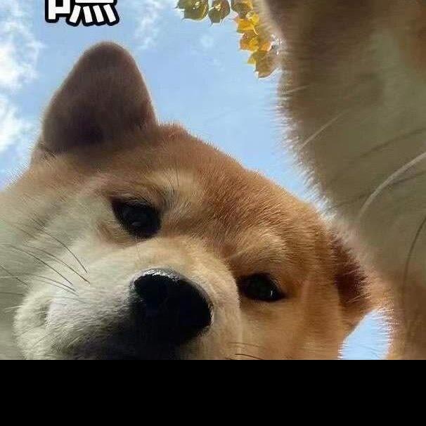 何叶蒸排骨