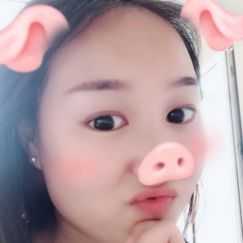 波仔很忙
