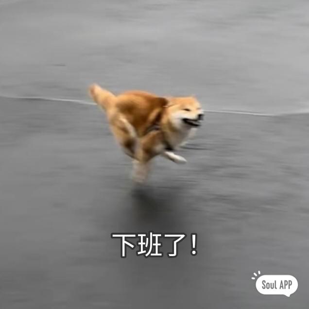 一口一个包子