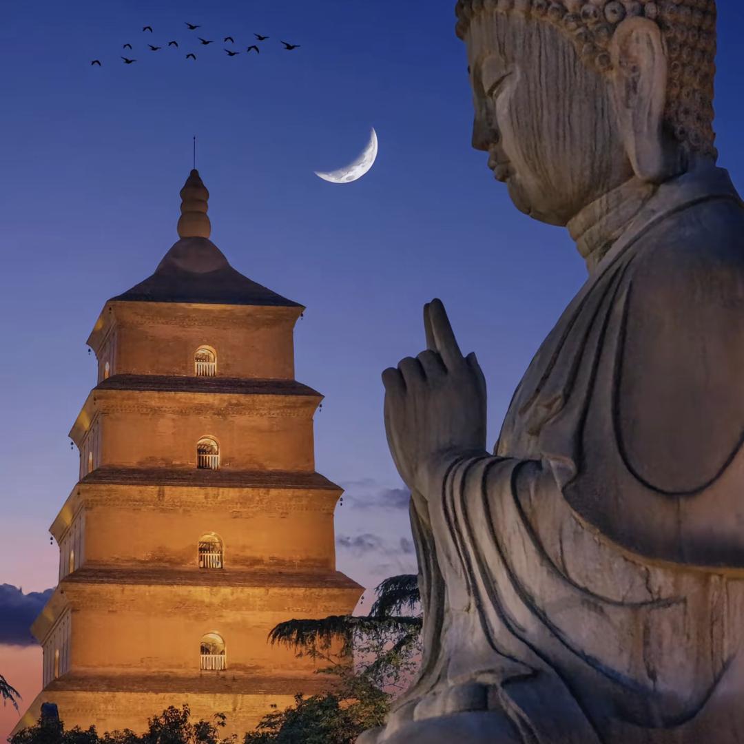 十月联盟老超说卡