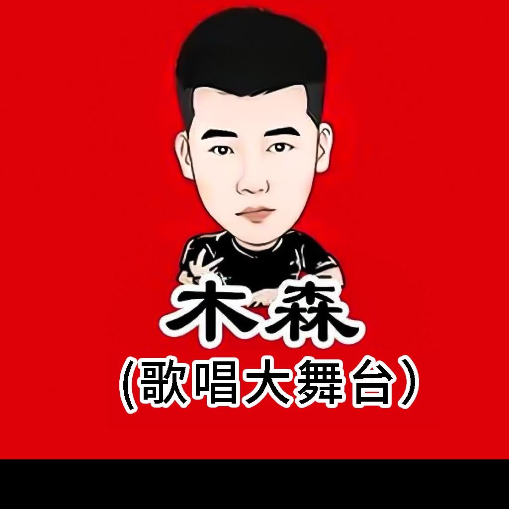 快乐大舞台木森