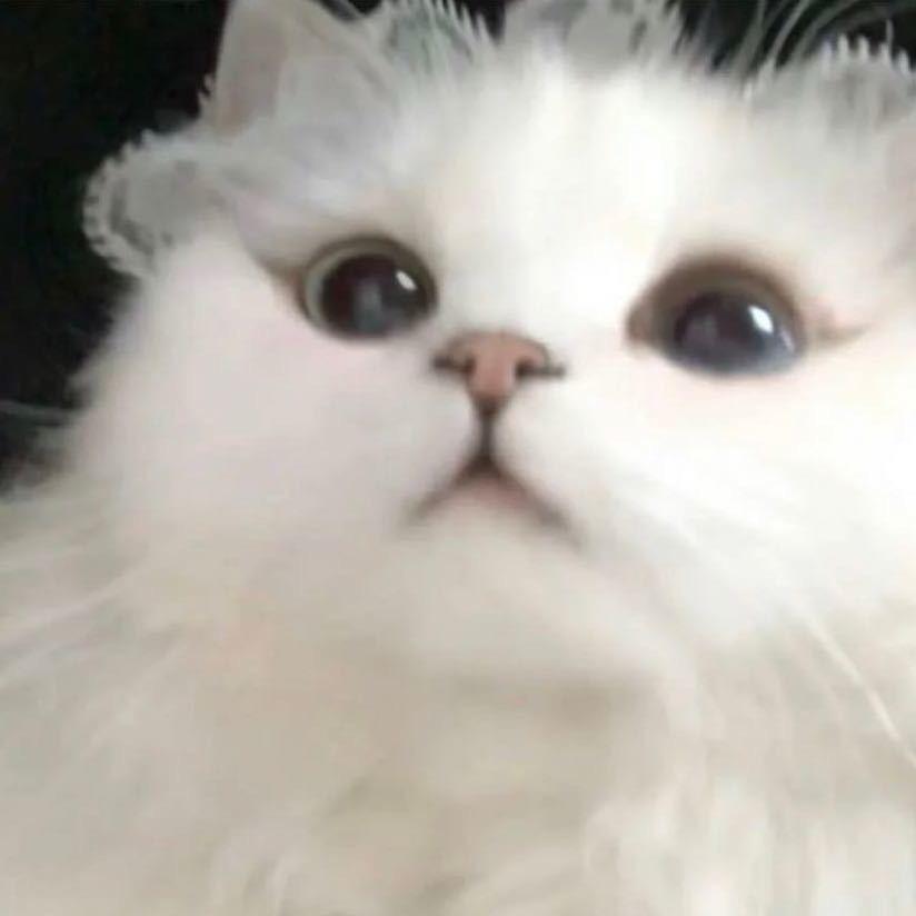 林酱