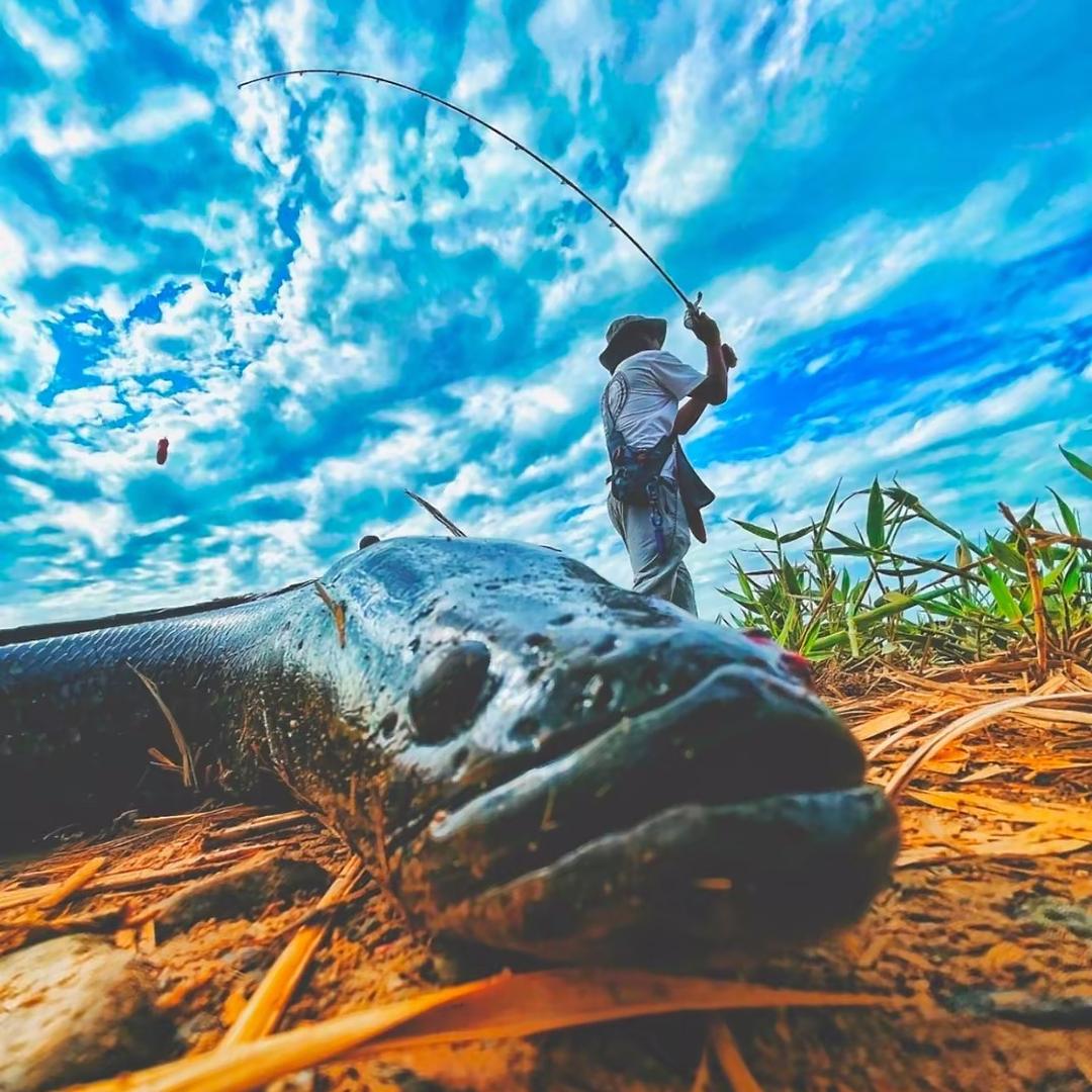 雷强帅帅户外钓具批发