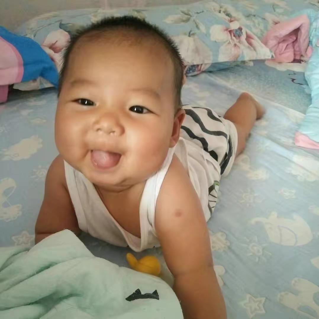 总有叼民要害朕