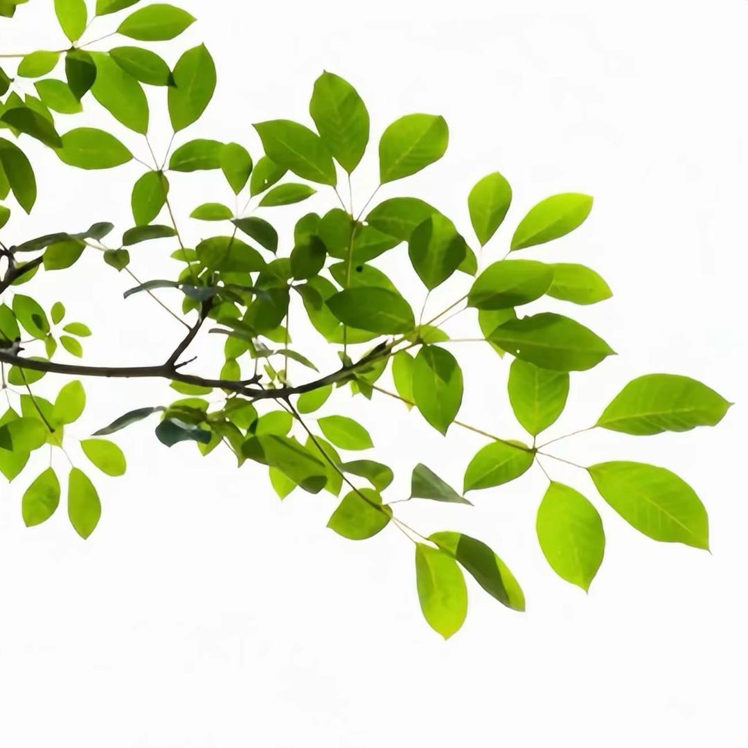 每天能吃8顿饭的小女孩