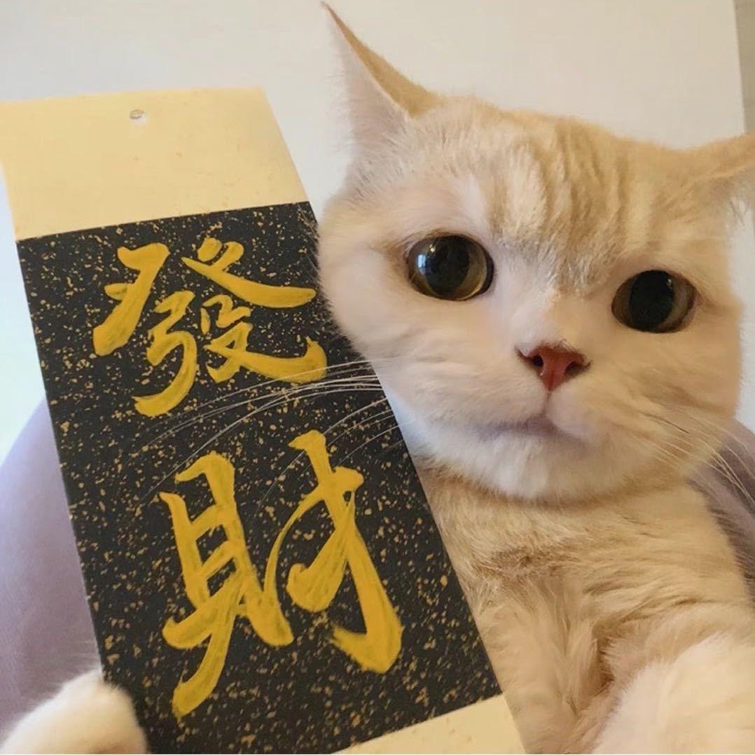 器手宠物
