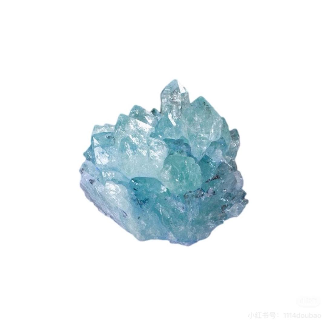 喵喵喵（高三版）