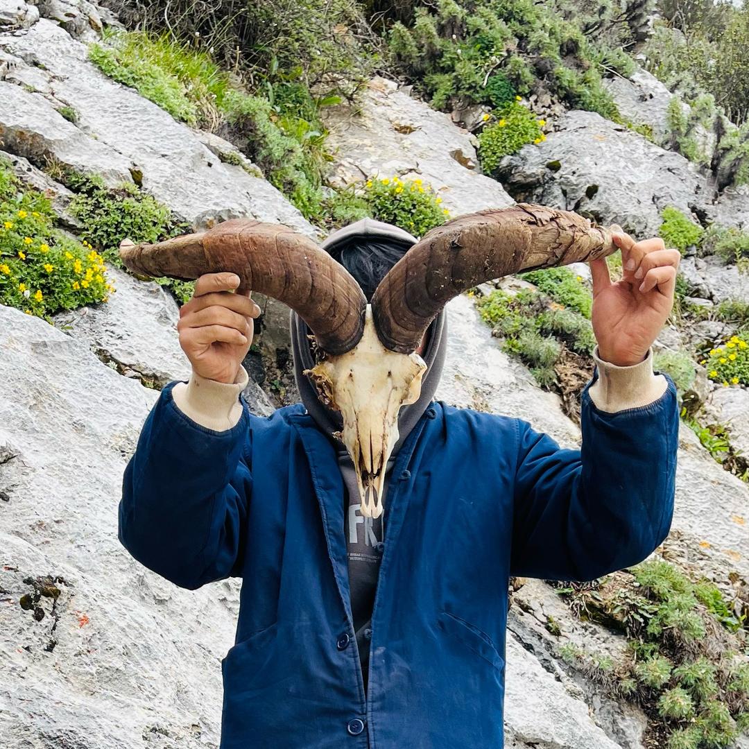 ༊ཨ་ལྕཊྊ永忠