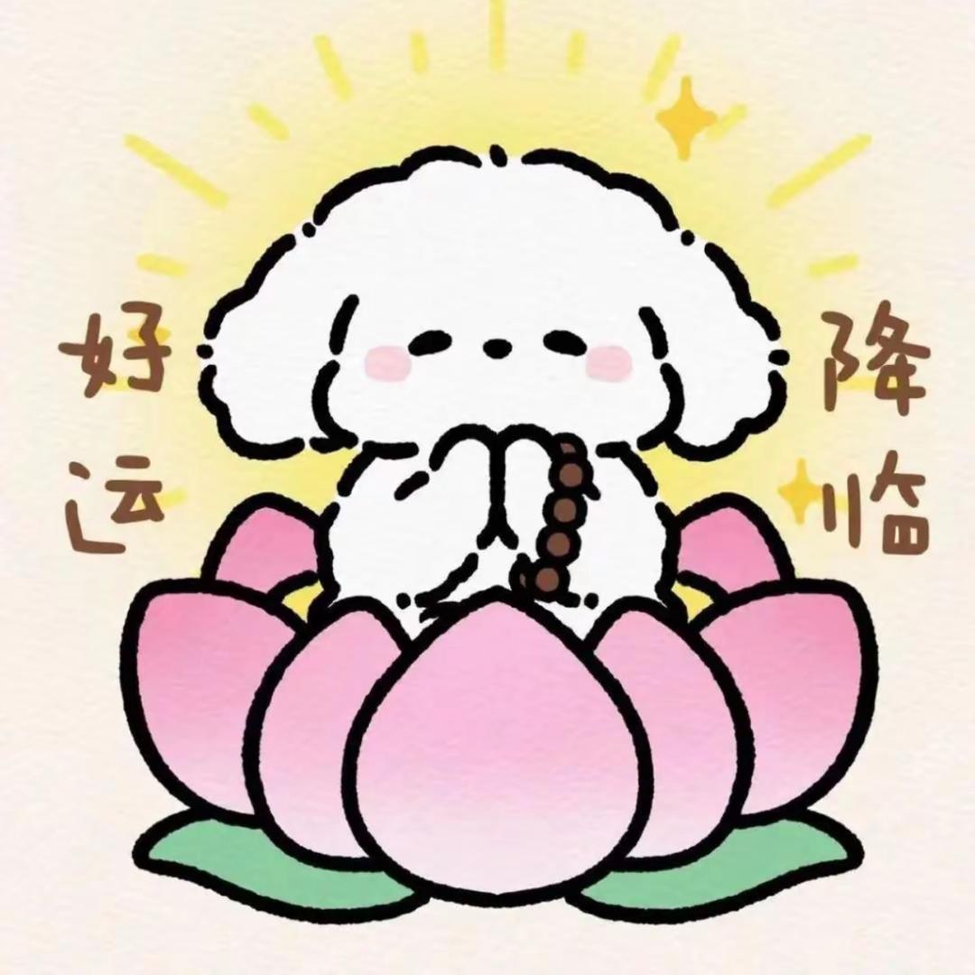 冬依恋❄️