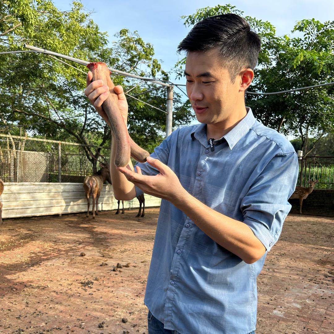 李子漆在海南