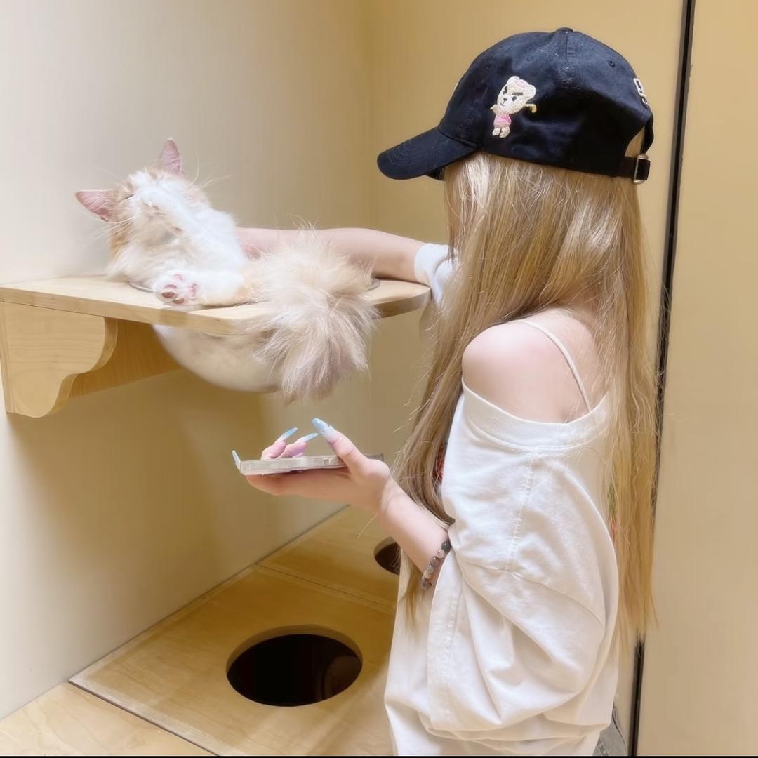 小᳐猫᳐੭