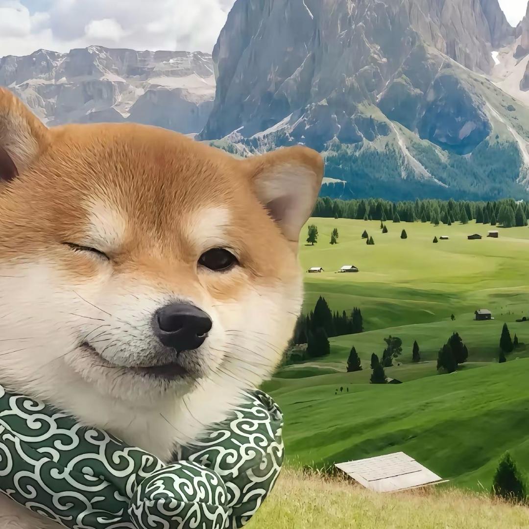 8885