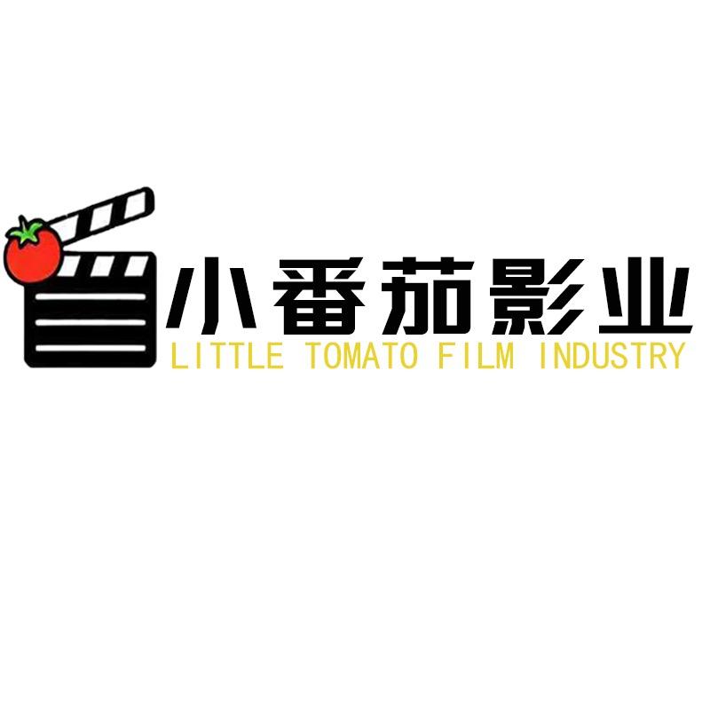 小番茄影业11.22黑化总裁拯救计划上线