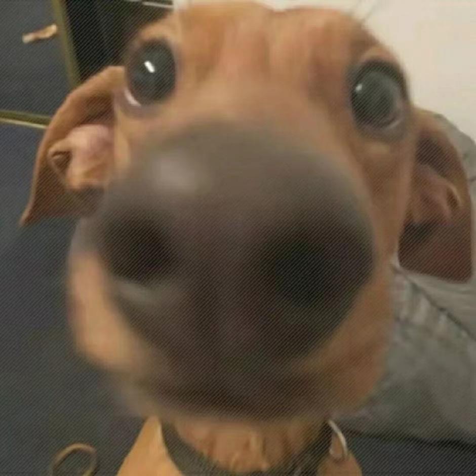 若知秋
