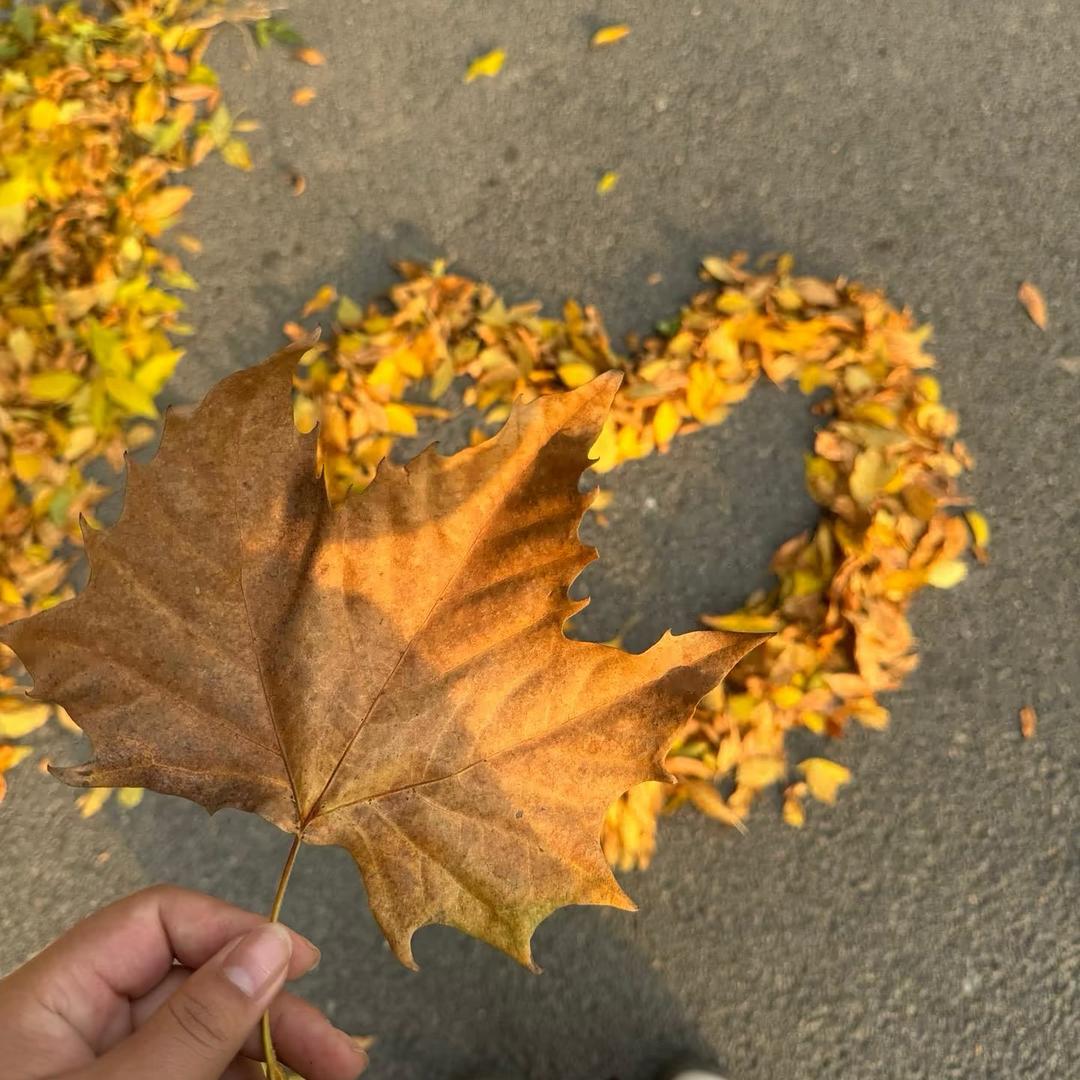 爱上了叫DANDAN的女孩