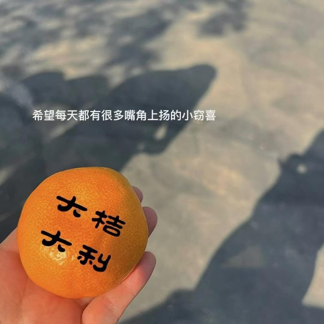 桥西区桔十女装店