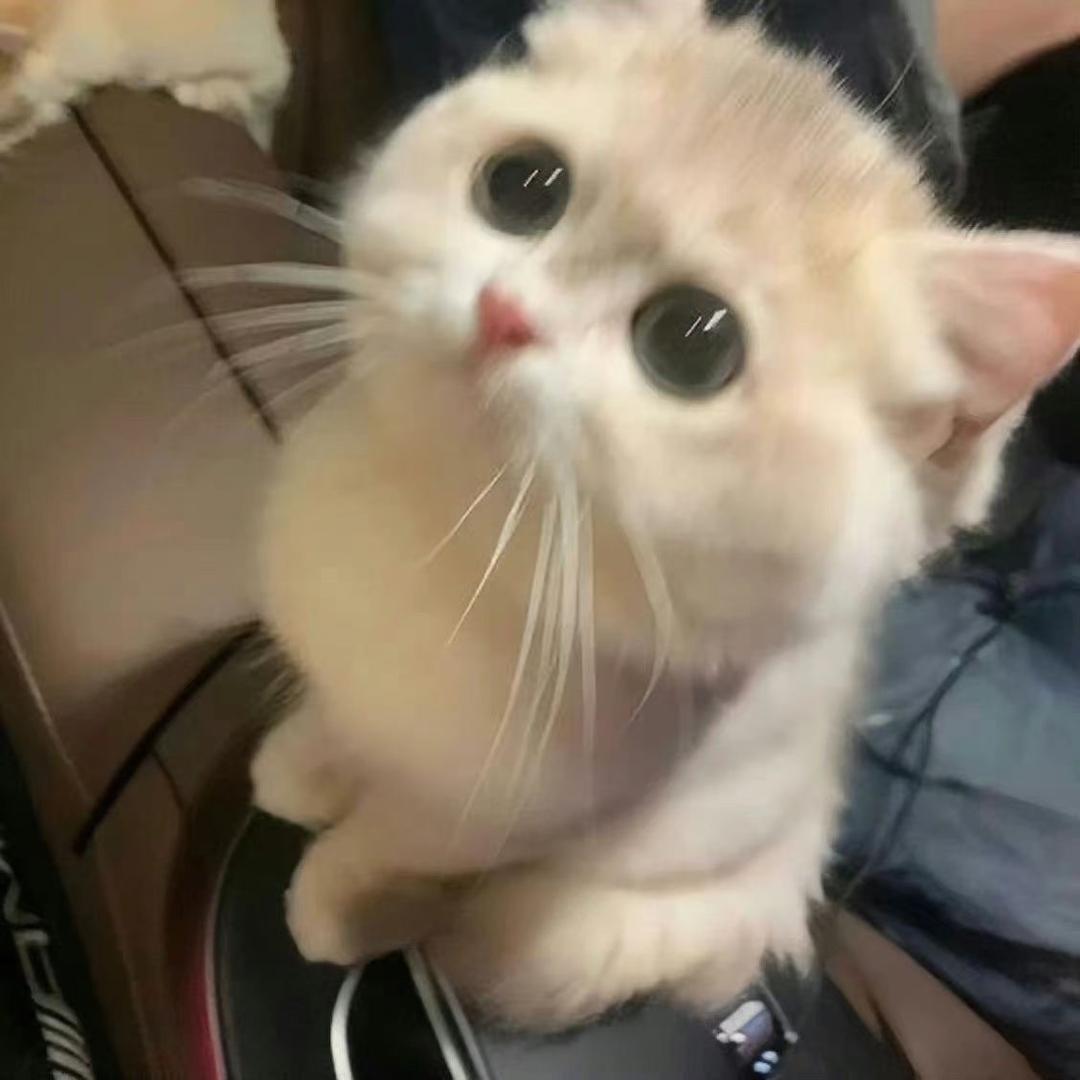 Miss.脚皮🧊