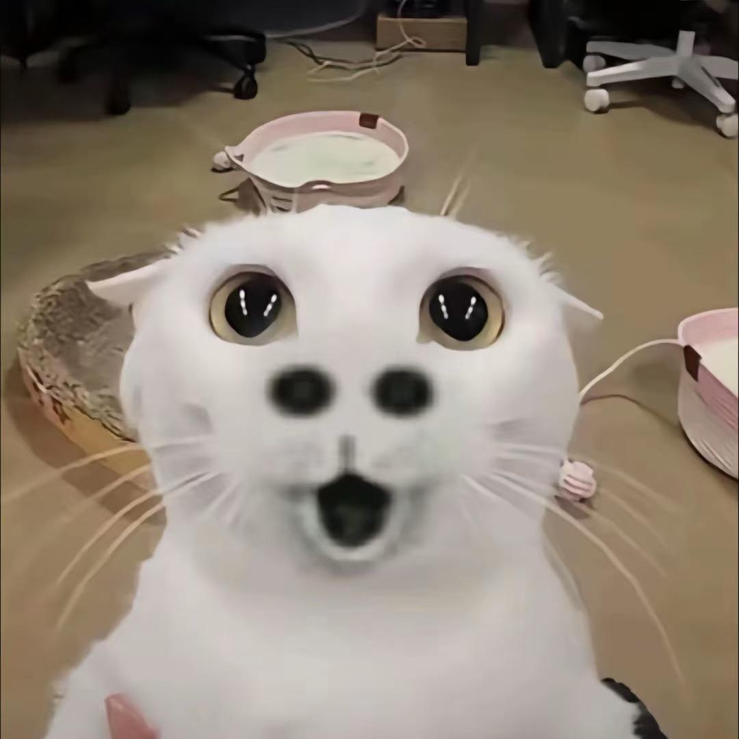 还吹着风