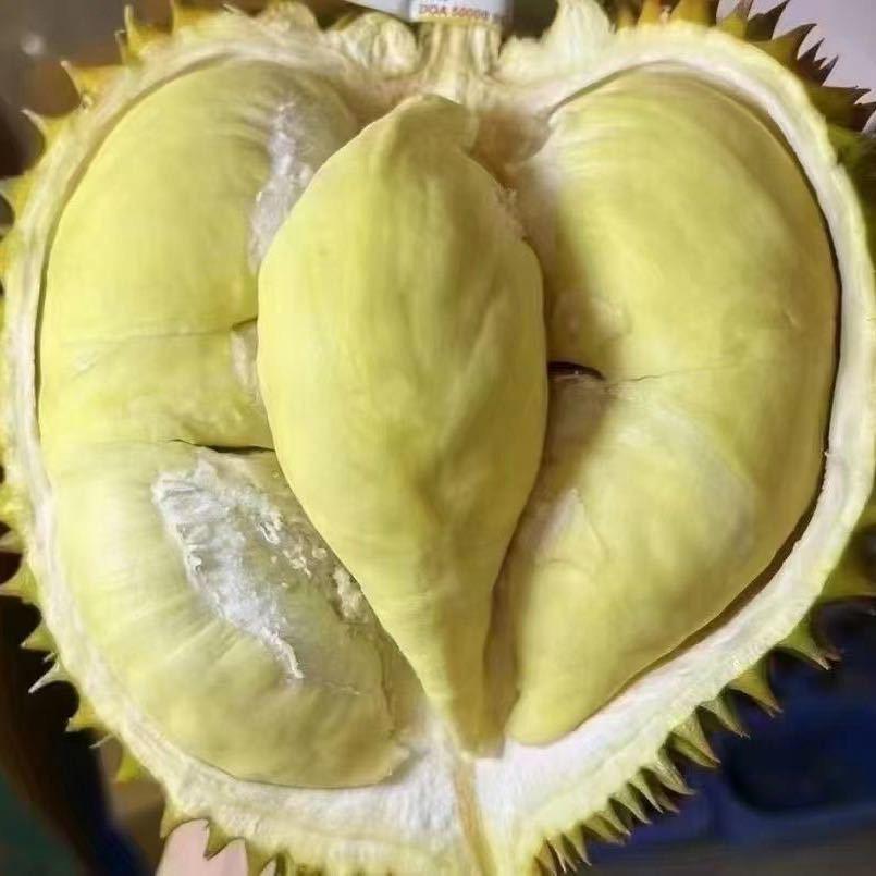 大鹏（万邦代采代卖榴莲