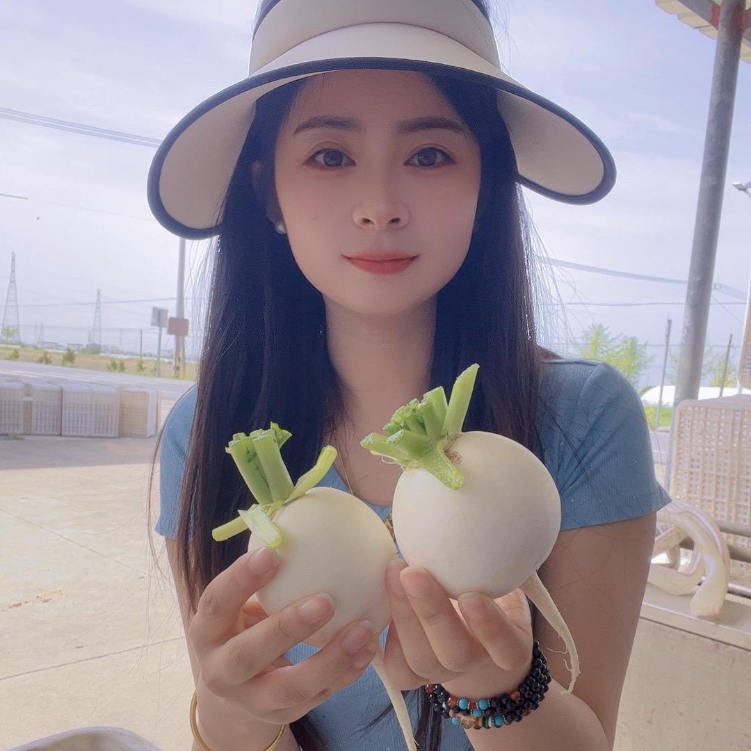 东台市戴戴蔬菜直销基地