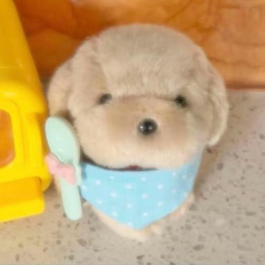 信也