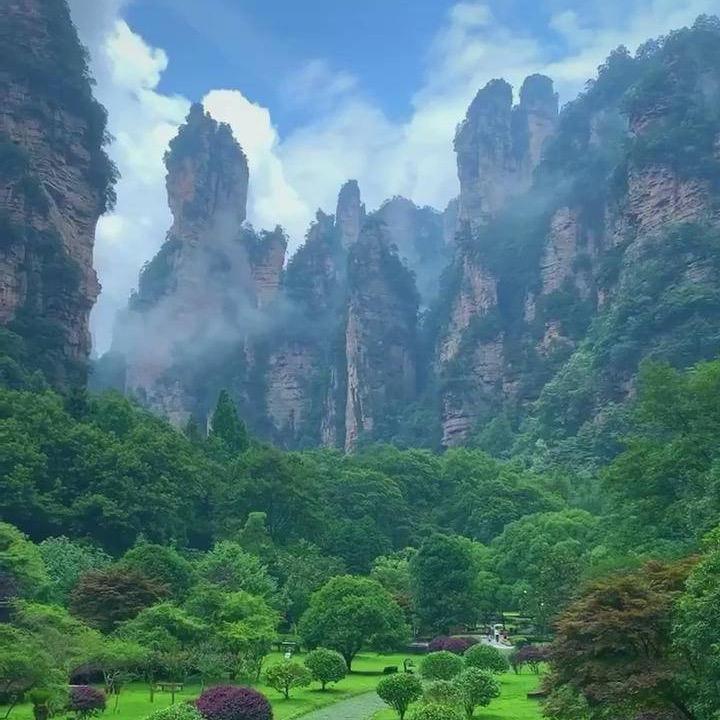 晨跑者杨哥