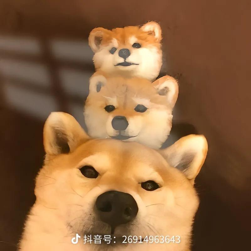 蒙泰严选