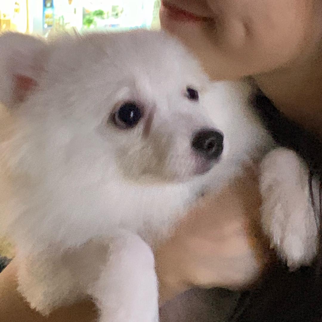 全村只有我最肥