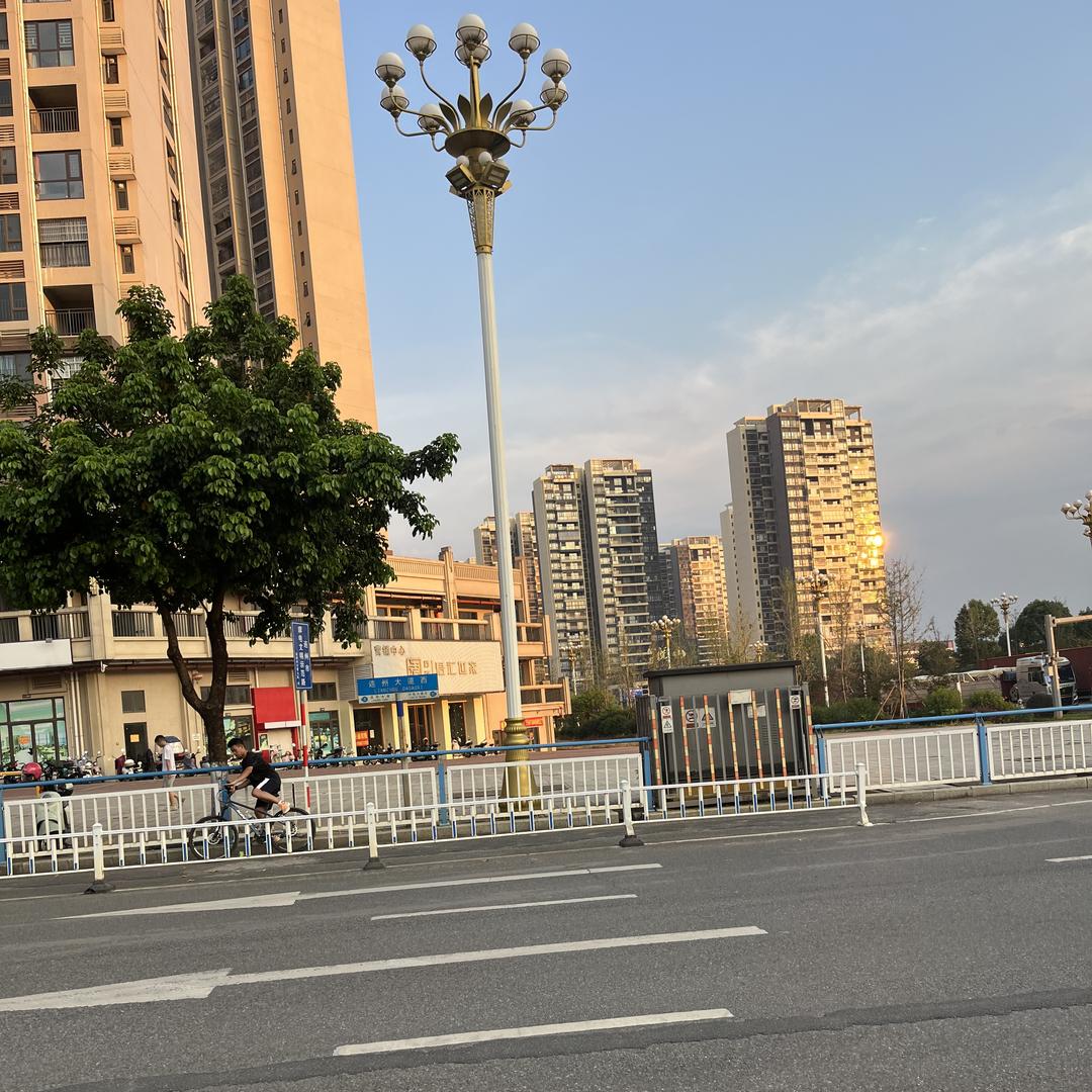 田园珍品