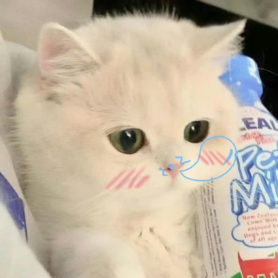 油猫饼